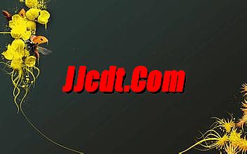 盛大传奇手游官网下载