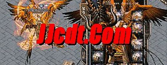 看了会儿的白野猪你们说路线