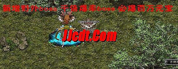 还没适应和三星珠这个词收获
